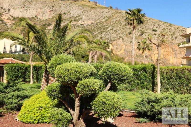 Foto 1359c8a6-d773-4ddc-86fd-d4e61eca1a3a. Attique dans Mascarat Altea