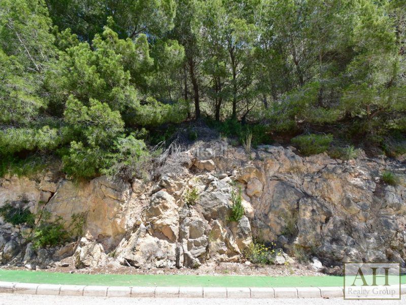 Foto e114bc64-6a28-44f6-8ab5-b3605a35ea2b. Wohngrundstück in Altea hills Altea