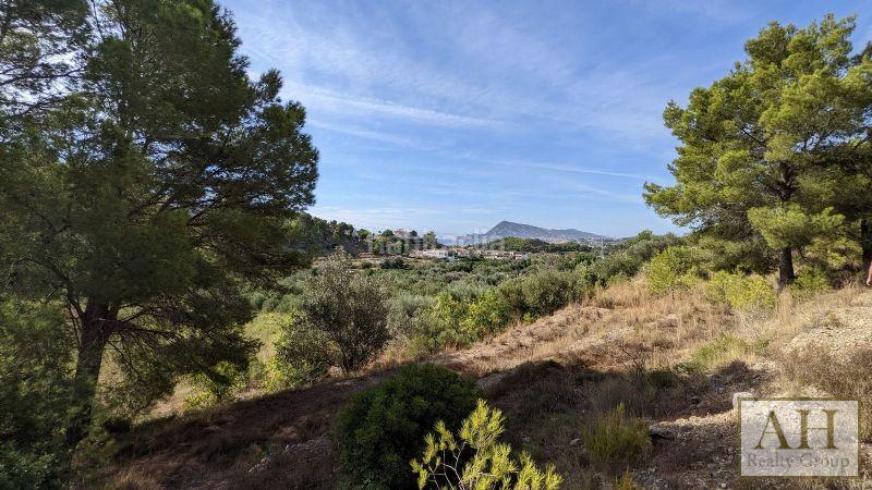 Foto cd0706b9-1d94-4444-82ef-75fc680cca78. Terrain résidentiel dans Altea la vella Altea