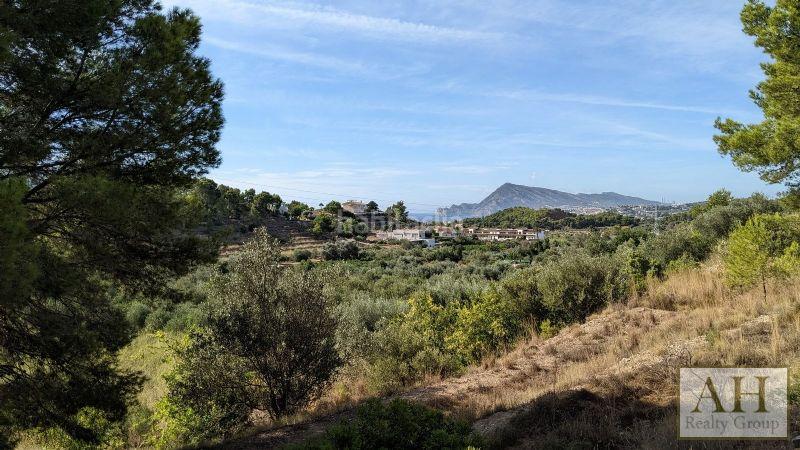 Foto e7d632a7-7788-4f78-977c-5207657c98b6. Terreno residenziale in Altea la vella Altea