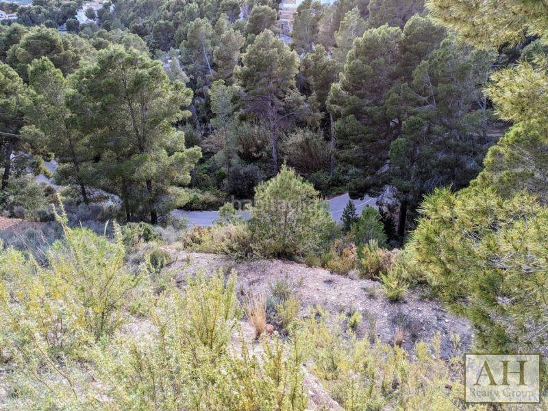 Foto 45c8b8a1-dbe5-444f-86f1-c1f00ce06895. Terreno residenziale in Altea la vella Altea