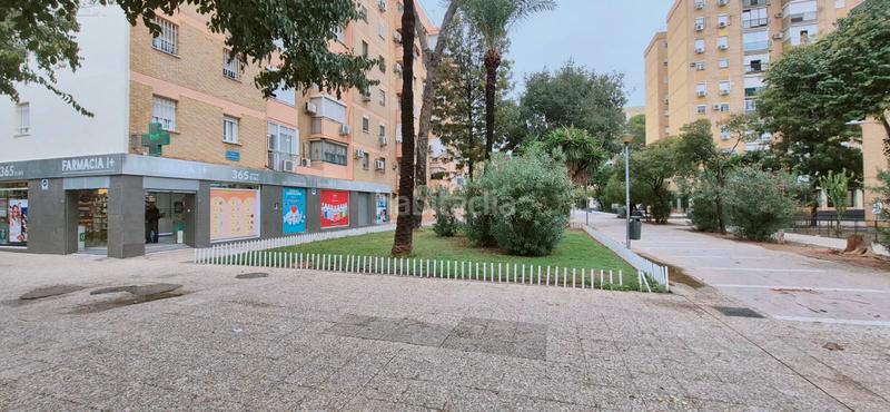 Foto 20bcce09-3045-47df-9bc3-9ea13edd879d. Pis a Pino Montano - Consolación Sevilla