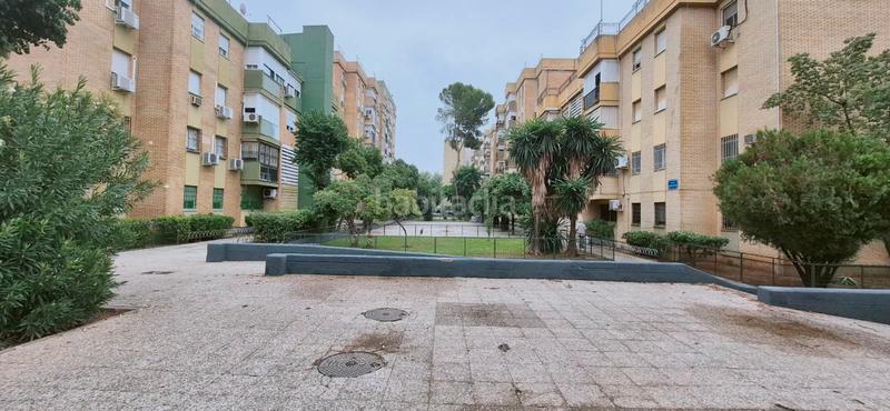 Foto 89cd6005-42c2-4c3d-9978-f16bb57b84f4. Pis a Pino Montano - Consolación Sevilla