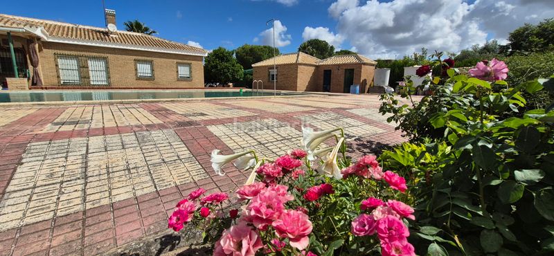 Foto 418691c0-fb5d-4cf0-99e9-929e816319dd. Xalet amb calefacció aparcament piscina a Carmona
