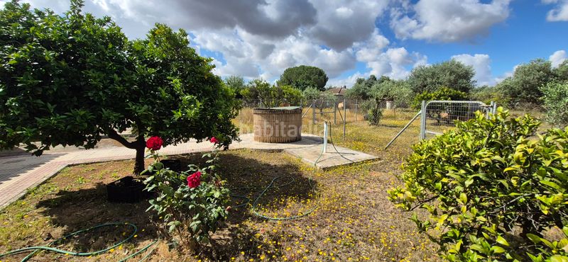 Foto e8a98690-a061-42b7-bcc8-6b49379cbb50. Xalet amb calefacció aparcament piscina a Carmona