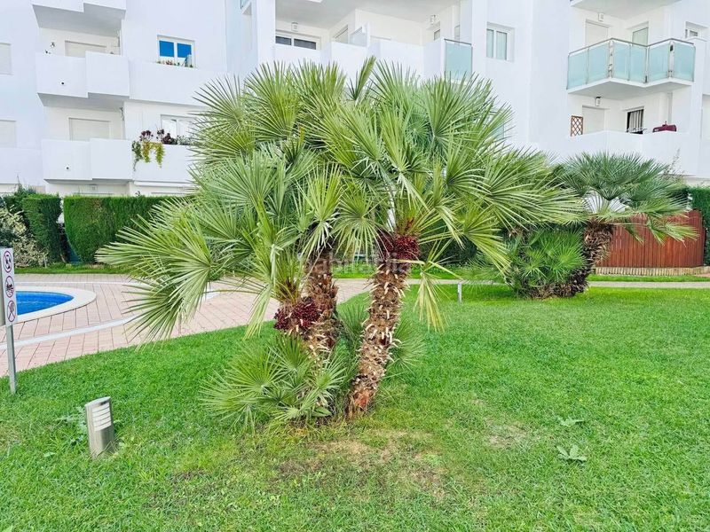 Foto c5a21472-c3f0-439e-a999-bea859f3144e. Apartament amb calefacció piscina a Santa Margarida Roses