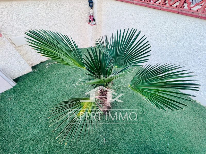Foto f1640857-4b51-4355-a628-a69932e1b114. Casa amb calefacció a Puigmal - Mas Nou Empuriabrava