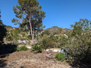 Terreny residencial a Cala Advocat-Baladrar