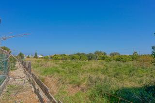 Terreny residencial a Poblets (els)