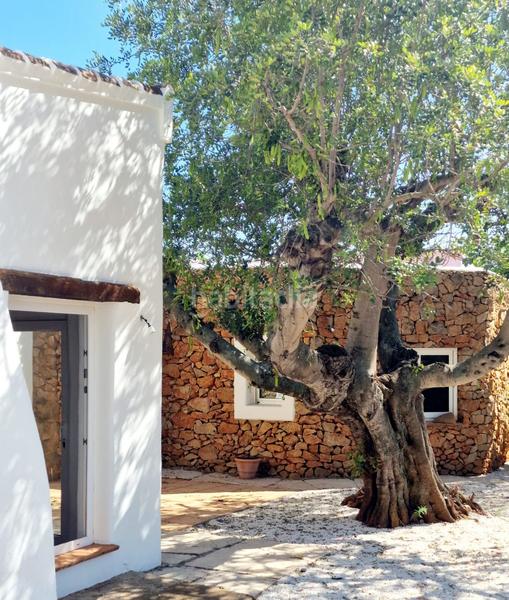 Foto 7b98384f-5844-4ed9-ad75-ac97ca370ab7. Bauernhof in Benissa pueblo Benissa