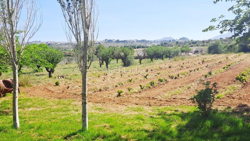 Foto dd0cc435-7c20-4e35-8a9f-77755c3a9cc2. Bauernhof in Benissa pueblo Benissa