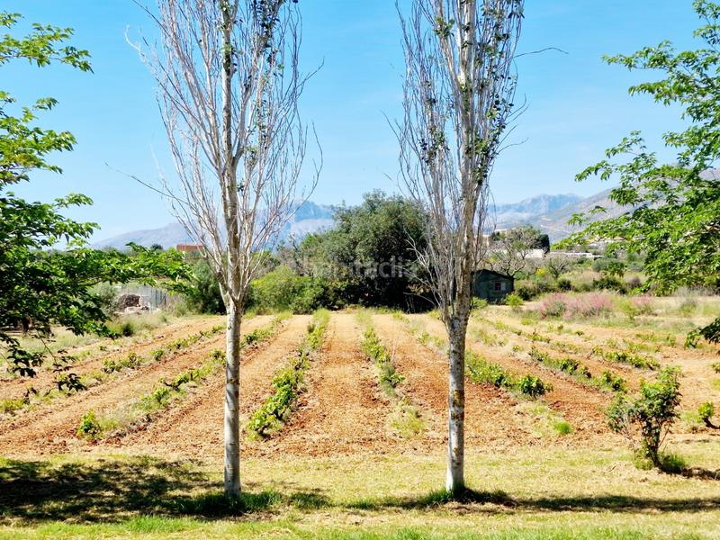 Foto f86718bc-8abf-4b92-97c4-d5c98e995dd5. Masía en Benissa pueblo Benissa