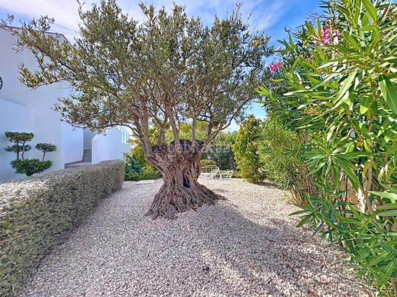 Foto d87dc478-e4e6-4627-b97a-b00e86d07054. Haus in Centro Poble Nou de Benitatxell (el)