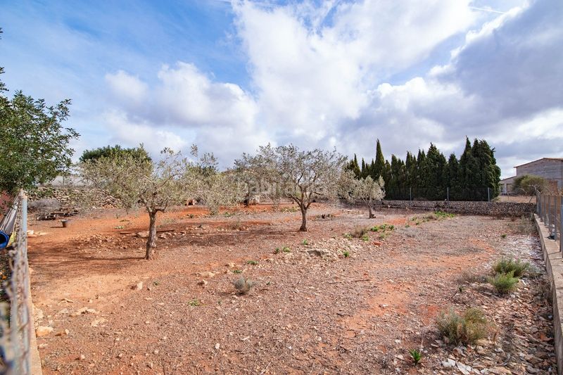 Foto 6ad78373-03a1-48bd-a0b5-687f84ac36b9. Masia a Benissa pueblo Benissa