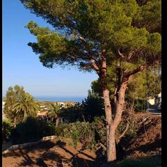 Terreno residenziale in Cumbre del Sol