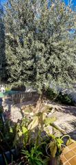 Geschäftsraum in Lliçà d´Amunt. Oportunidad venta de local con negocio en granollers  lliçà damu