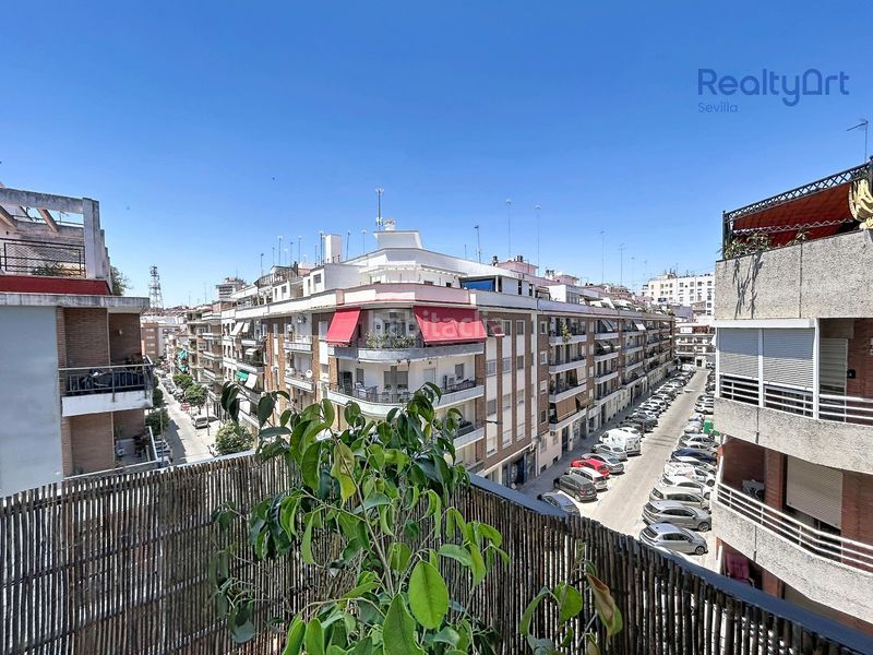 Foto 4af1c7a9-d8bd-44f9-a4f2-3ad2f93f5a30. Pis a Los Remedios Sevilla