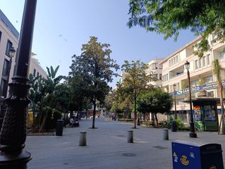 Pis a Alfalfa - Santa Cruz. Piso magdalena  velazquez