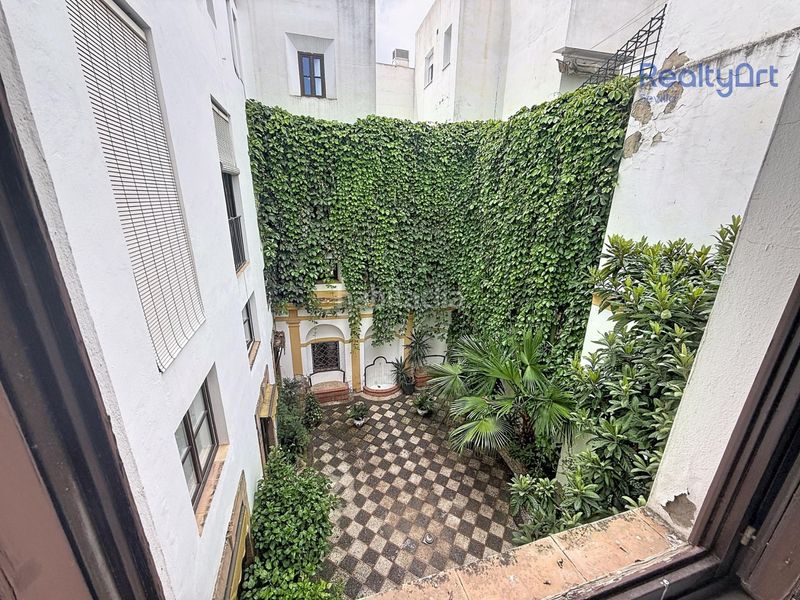 Foto 36fc4d86-0f6e-4165-a14d-4cb3c0347349. Apartament a Encarnación - Regina Sevilla