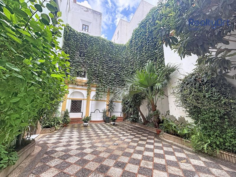 Foto 7da187c7-9483-4f35-aae1-3a068ecceddf. Apartament a Encarnación - Regina Sevilla