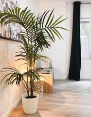 Location Appartement à Feria. Se alquila fabuloso piso en plena alameda