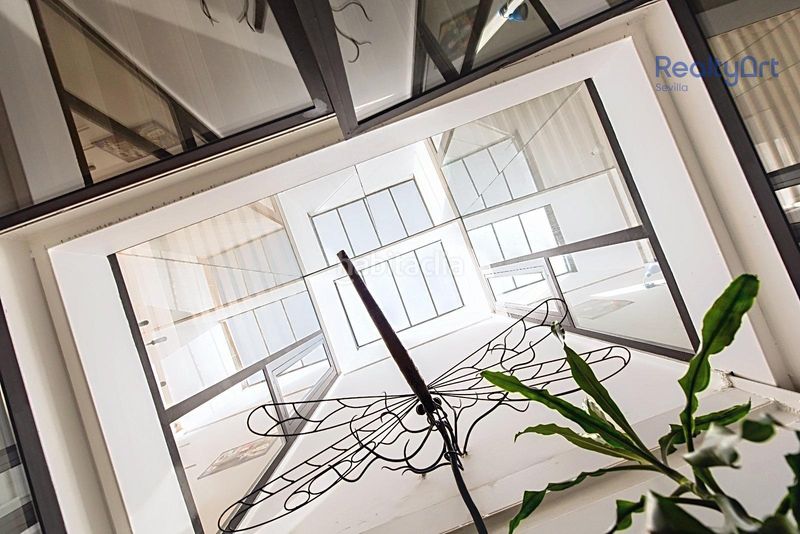 Foto 97909ca0-fda7-4d63-ba30-929722bb8080. Casa amb piscina a Feria Sevilla