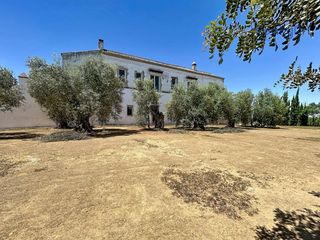 Casale in Bollullos de la Mitación. Finca aljarafeinversion
