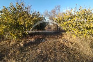 Landgut in Pelagatos - Pago del Humo