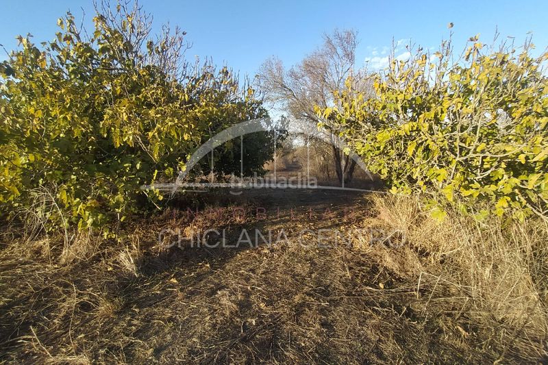 Foto dae2c106-0a8f-49c0-a714-15e070b0644e. Finca rústica a Pelagatos - Pago del Humo Chiclana de la Frontera