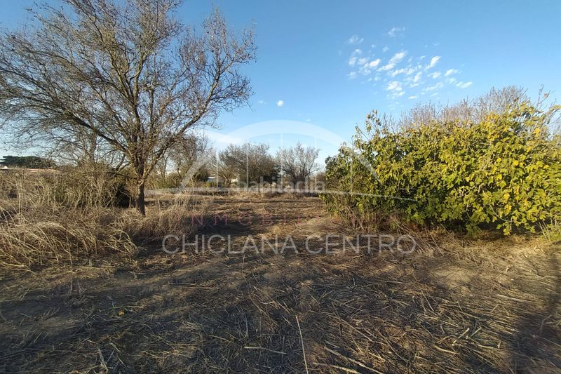 Foto dfe0abe7-962e-40f4-8d61-cbcffe7cb495. Finca rústica a Pelagatos - Pago del Humo Chiclana de la Frontera
