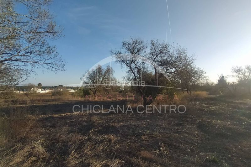Foto f7c0fa4a-109b-45ac-81d0-c79e872b98d9. Finca rústica a Pelagatos - Pago del Humo Chiclana de la Frontera