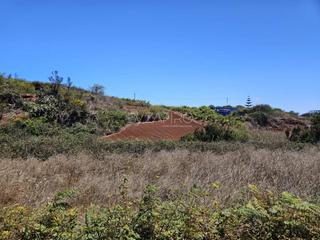 Miete Landgut in Ladera la pintora 1. Terreno cultivable en la esperanza