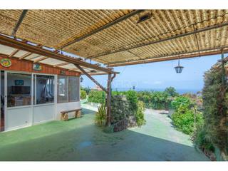 Haus  Camelias. Casa terrera con dos apartamentos en tejina