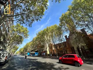 Pis a Paseo de las Delicias