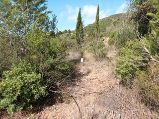Residential Plot  Portichol