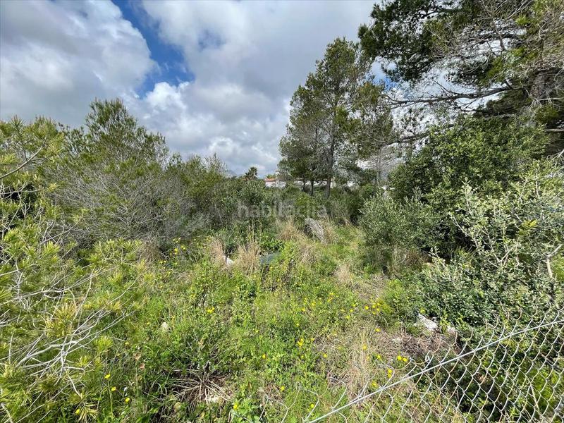 Foto 3ad033f2-a47e-4690-b855-e2962676030d. Terreny residencial a El Casalot Mont-roig del Camp