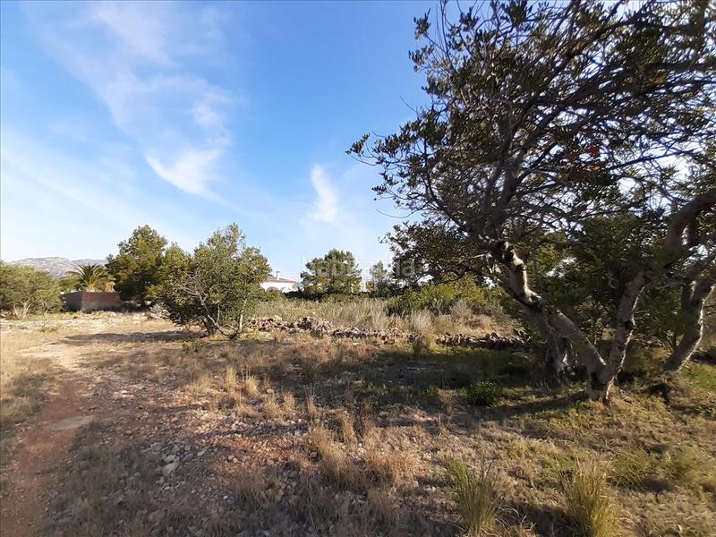 Foto 1813fc31-3552-4bd8-9f1d-5d35db1630d0. Terreno residenziale in El Casalot Mont-roig del Camp