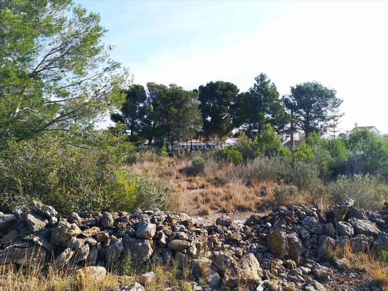Foto ba708e03-043a-4c58-9aa4-8e5df97aa6da. Wohngrundstück in El Casalot Mont-roig del Camp