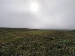 Residential Plot  Sitio colmenares