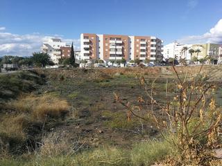 Terreny residencial  Aceituneros