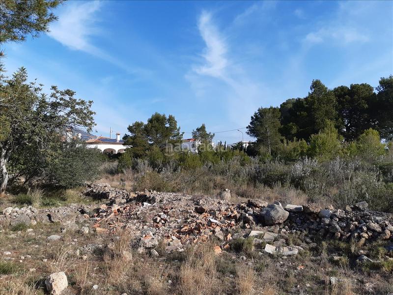 Foto 6d402812-8b46-4d01-86c9-9e235447d5f5. Terreny residencial a El Casalot Mont-roig del Camp