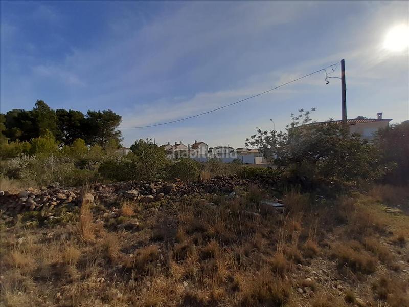 Foto cbe15e57-f14b-4345-8882-4bab527023f9. Terreny residencial a El Casalot Mont-roig del Camp