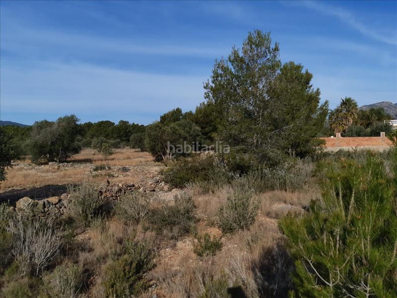 Foto a03718b3-4ea7-4365-be8e-ffb18316d314. Terreno residenziale in El Casalot Mont-roig del Camp