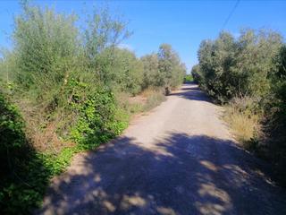 Residential Plot  Partida gallipont