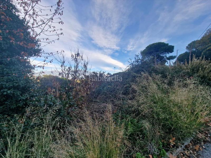 Foto b1f8c901-41fe-4213-a04e-12f17a56be43. Terreny residencial a Vallgorguina