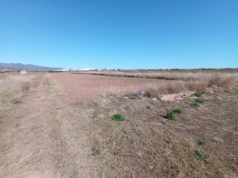 Foto 6585e493-2cd7-475d-b8d2-8a9b8fbceea8. Terreno residencial en Chilches
