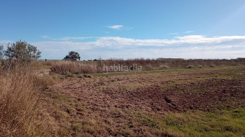 Foto d2b200d3-fadc-4543-afe0-e3f4a57ae0ac. Terreno residencial en Chilches