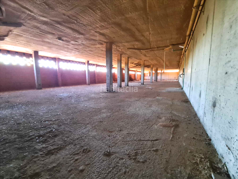 Foto e65a6358-d585-4c97-8ee4-174f25635fd8. Local comercial a Lastrilla (La)