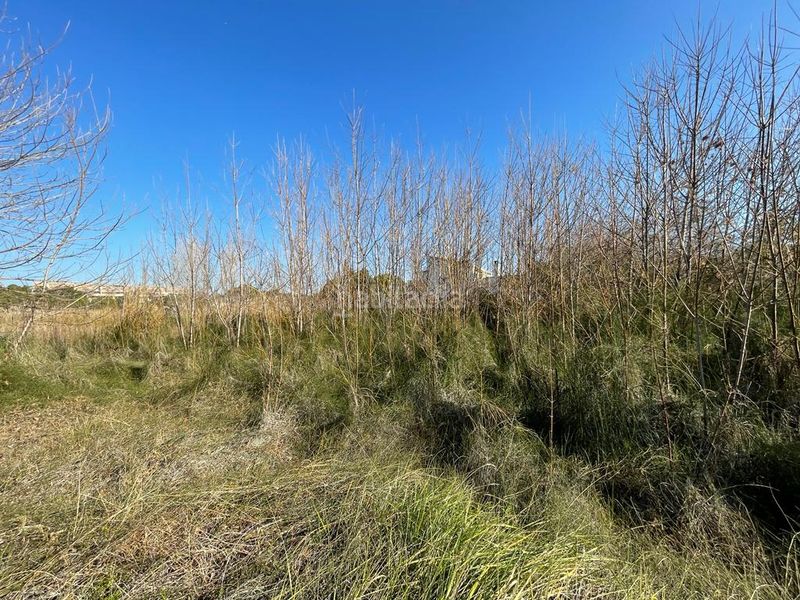 Foto 6c9a92bf-c219-4ecd-8636-72759d764a63. Terreny residencial a Bonavista Vendrell (El)