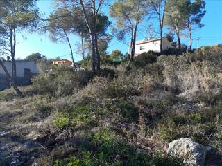 Terreny residencial  Del cosmos. parcela